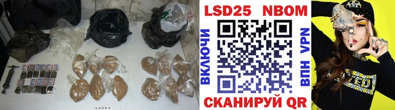где купить наркоту  Стародуб  LSD-25 экстази ecstasy 