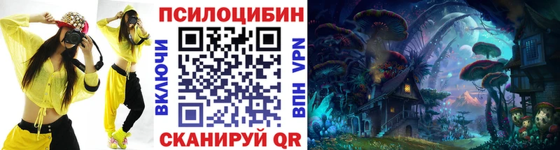 KRAKEN ссылка  Стародуб  Псилоцибиновые грибы GOLDEN TEACHER 